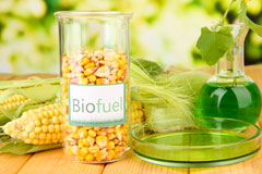 Rand biofuel availability